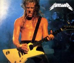 Metallica : Fanatic Battery